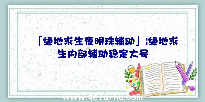 「绝地求生夜明珠辅助」|绝地求生内部辅助稳定大号